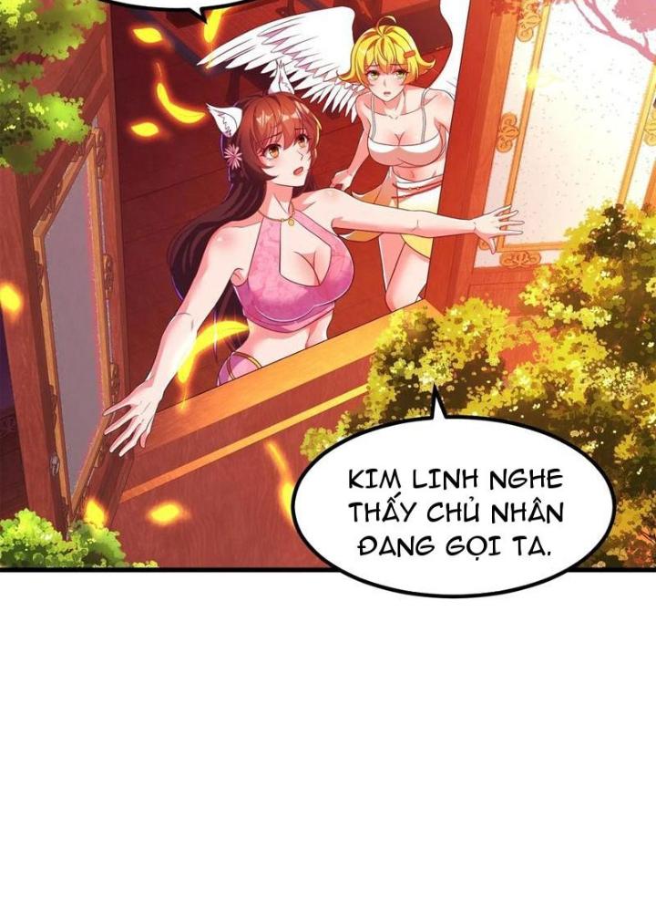 Bắt Đầu Đánh Dấu Bảy Vị Sư Tỷ Giúp Ta Bay Chapter 49 - Trang 2