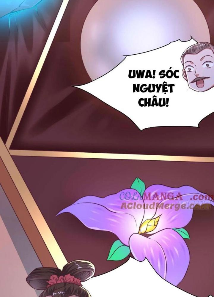 Bắt Đầu Đánh Dấu Bảy Vị Sư Tỷ Giúp Ta Bay Chapter 51 - Trang 2