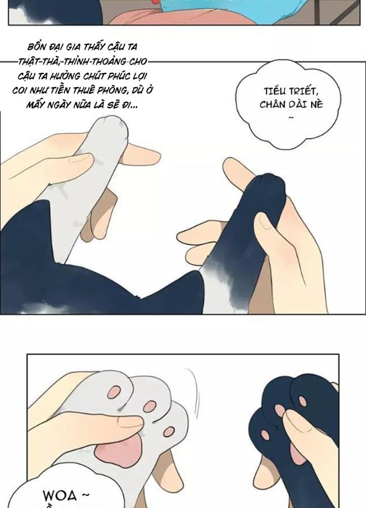 Dịch Vụ Chuyển Phát Nhanh Nhân Gian Chapter 19 - Trang 2