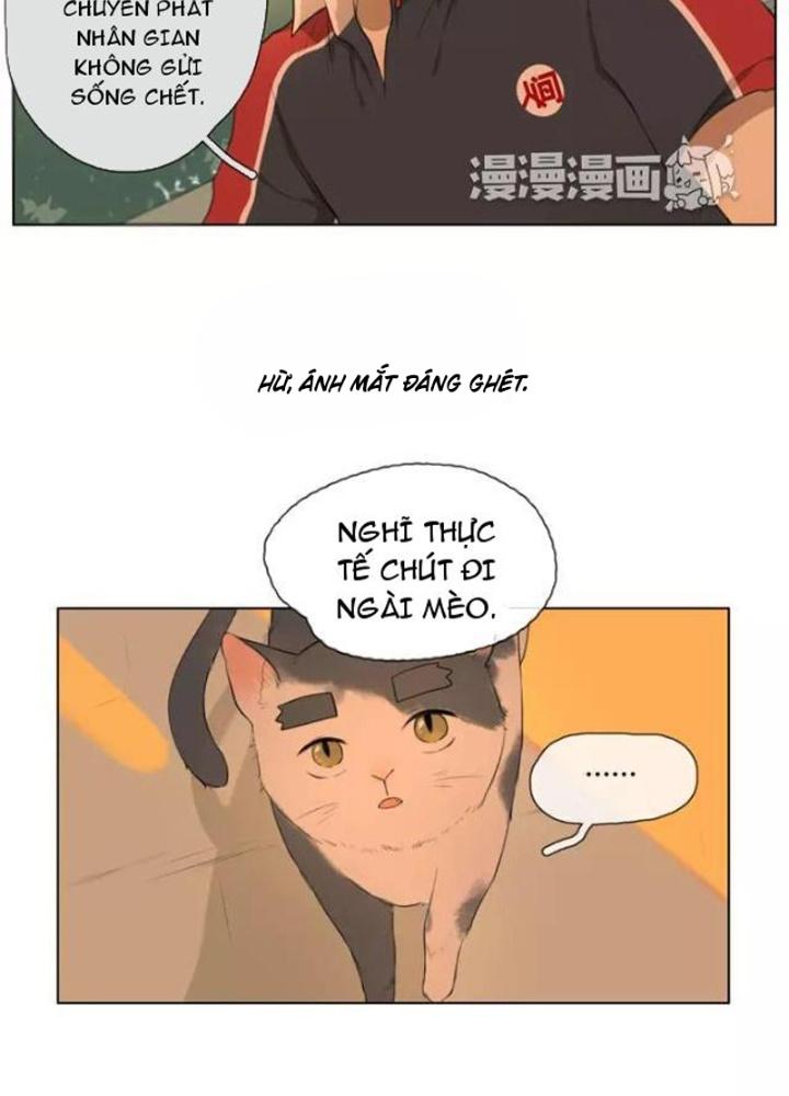 Dịch Vụ Chuyển Phát Nhanh Nhân Gian Chapter 20 - Trang 2