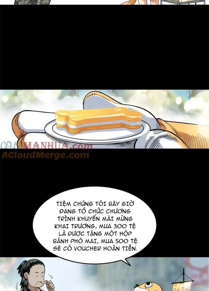 Đấu Trường Bóng Rổ Đường Phố Chapter 20 - Trang 2