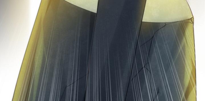 Phi Thăng Thất Bại, Đành Phải Làm Liệp Ma Nhân Chapter 10 - Trang 2