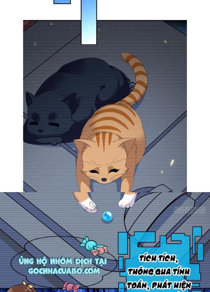 Xin Lỗi, Có Hệ Thống Thật Sự Quá Lợi Hại Chapter 2 - Trang 2