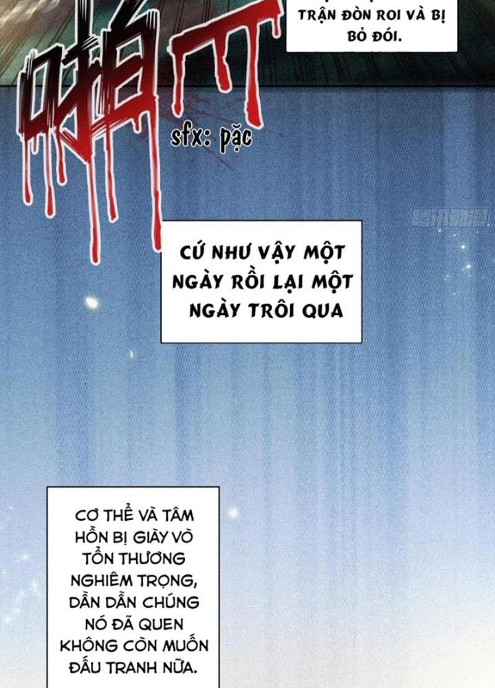 Xin Lỗi, Có Hệ Thống Thật Sự Quá Lợi Hại Chapter 3 - Trang 2