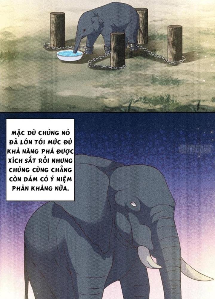 Xin Lỗi, Có Hệ Thống Thật Sự Quá Lợi Hại Chapter 3 - Trang 2