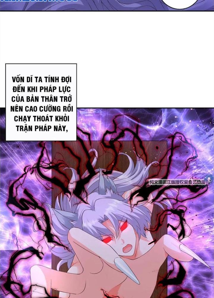 Xin Lỗi, Có Hệ Thống Thật Sự Quá Lợi Hại Chapter 5 - Trang 2