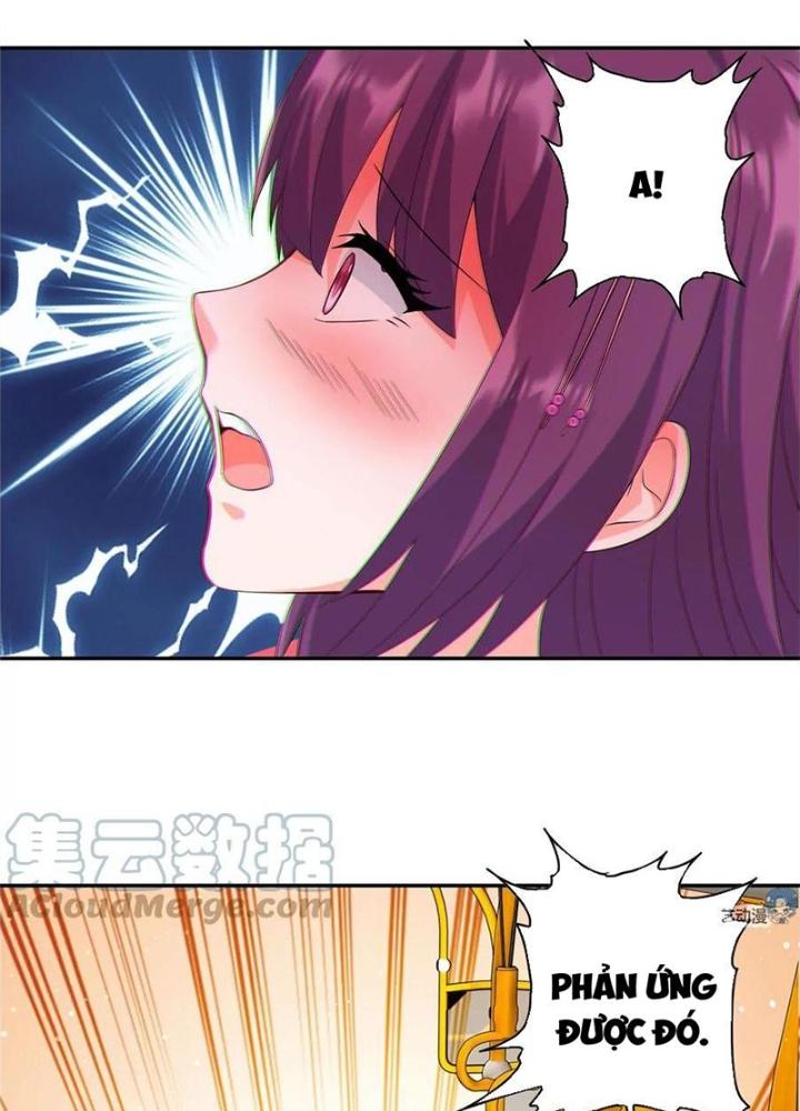 Xin Lỗi, Có Hệ Thống Thật Sự Quá Lợi Hại Chapter 6 - Trang 2