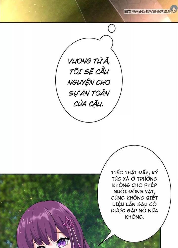 Xin Lỗi, Có Hệ Thống Thật Sự Quá Lợi Hại Chapter 8 - Trang 2