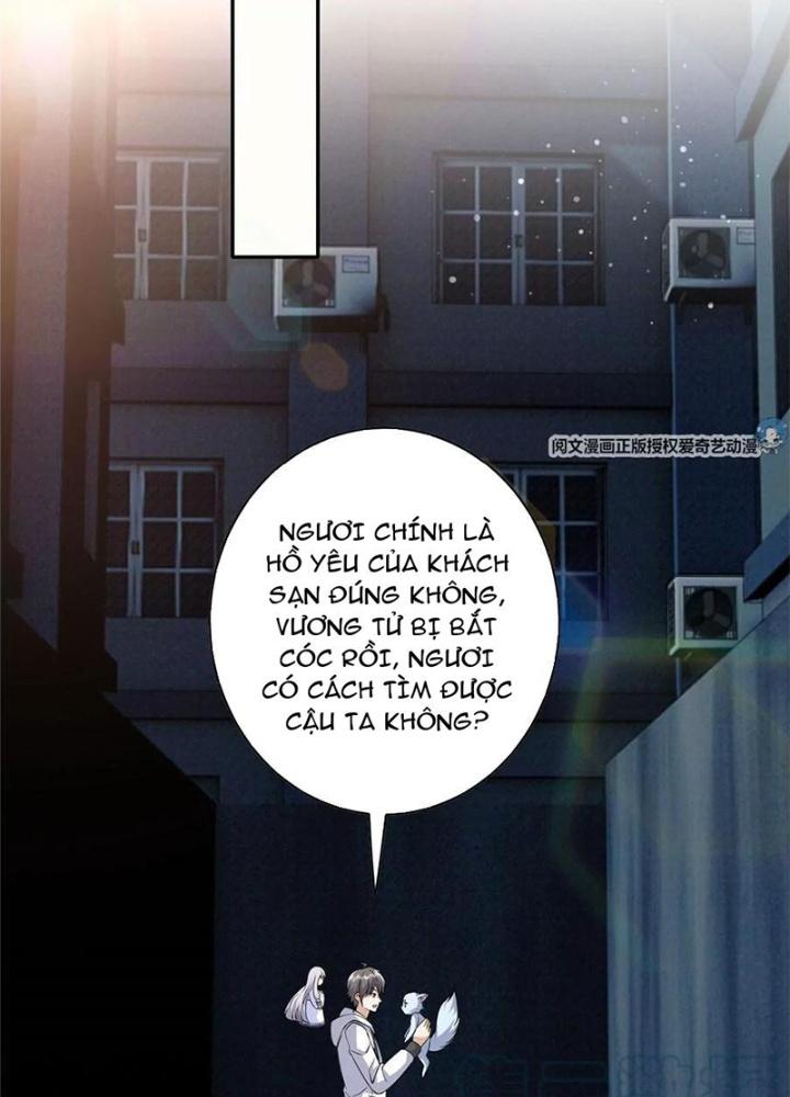 Xin Lỗi, Có Hệ Thống Thật Sự Quá Lợi Hại Chapter 8 - Trang 2