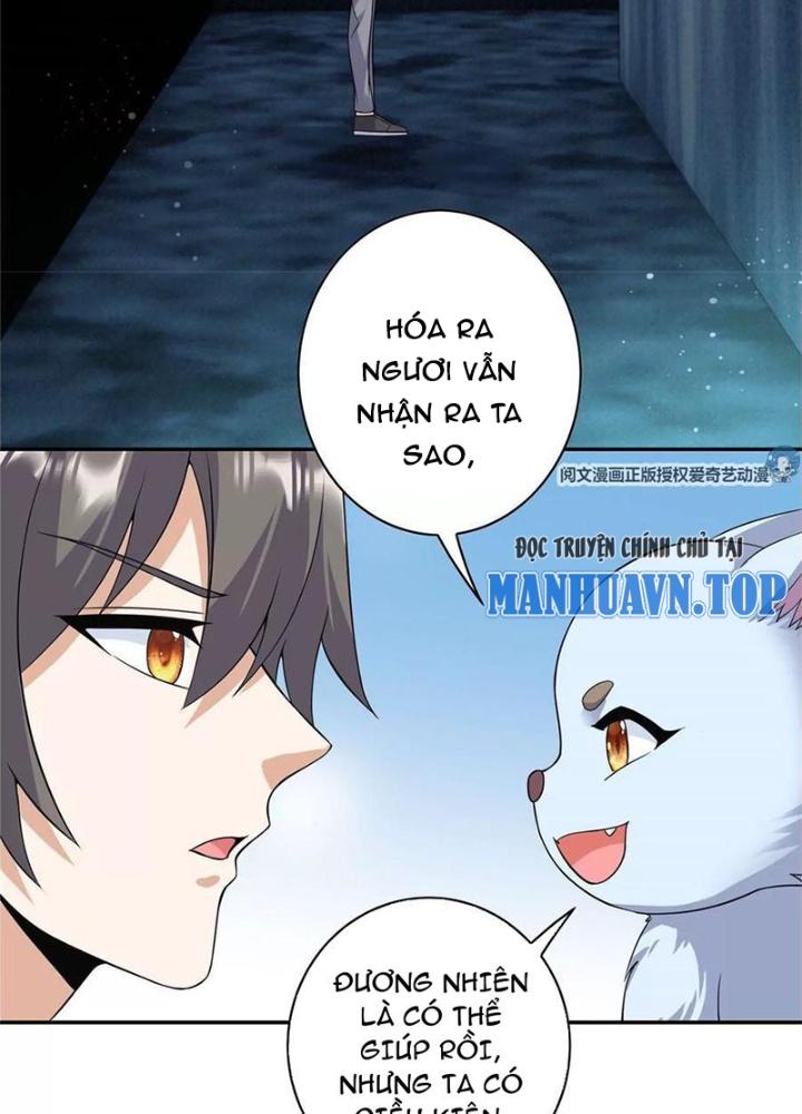 Xin Lỗi, Có Hệ Thống Thật Sự Quá Lợi Hại Chapter 8 - Trang 2