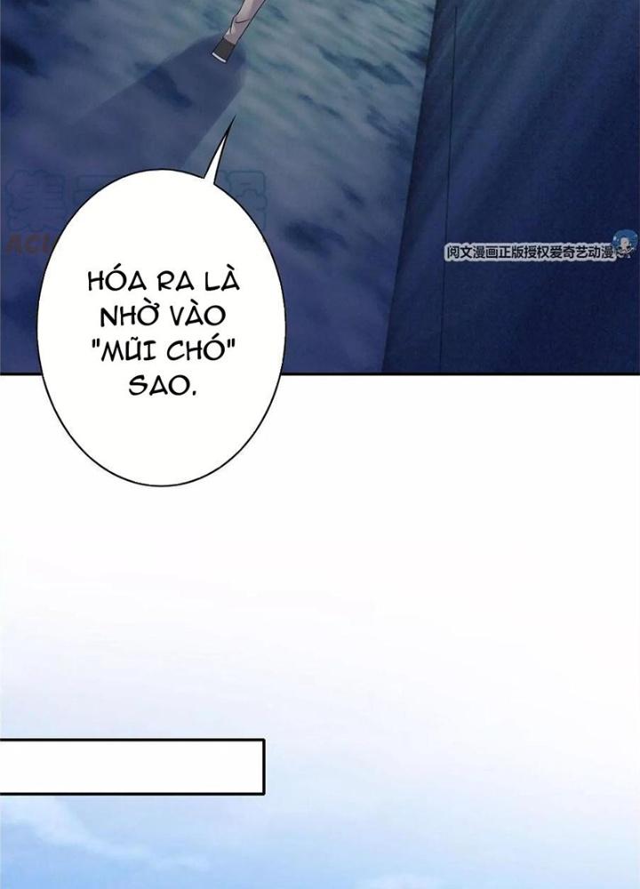 Xin Lỗi, Có Hệ Thống Thật Sự Quá Lợi Hại Chapter 8 - Trang 2