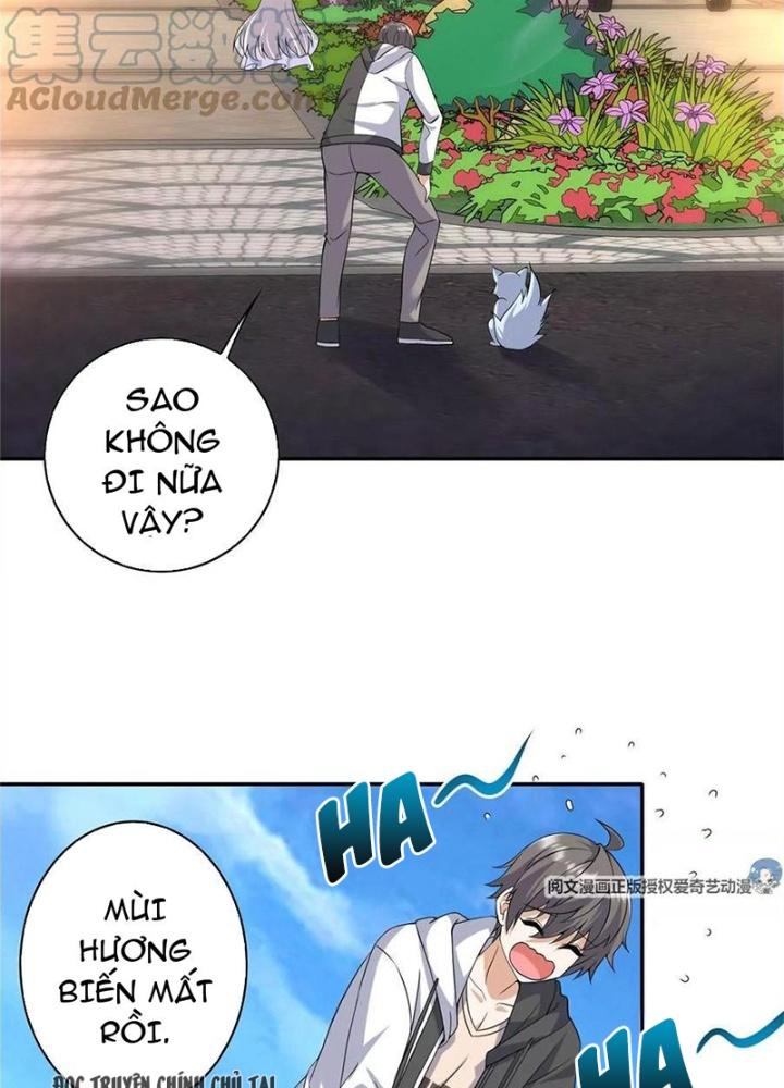 Xin Lỗi, Có Hệ Thống Thật Sự Quá Lợi Hại Chapter 8 - Trang 2
