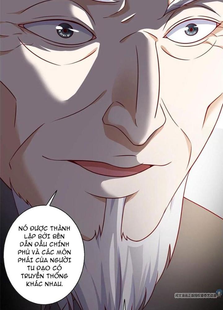 Xin Lỗi, Có Hệ Thống Thật Sự Quá Lợi Hại Chapter 11 - Trang 2