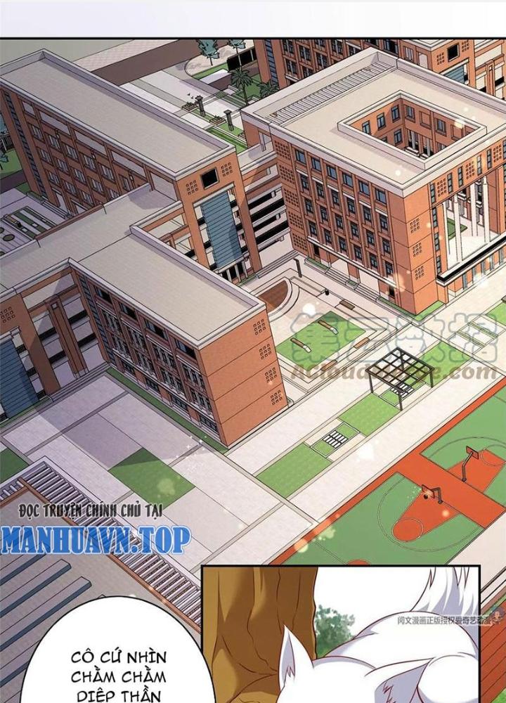 Xin Lỗi, Có Hệ Thống Thật Sự Quá Lợi Hại Chapter 13 - Trang 2