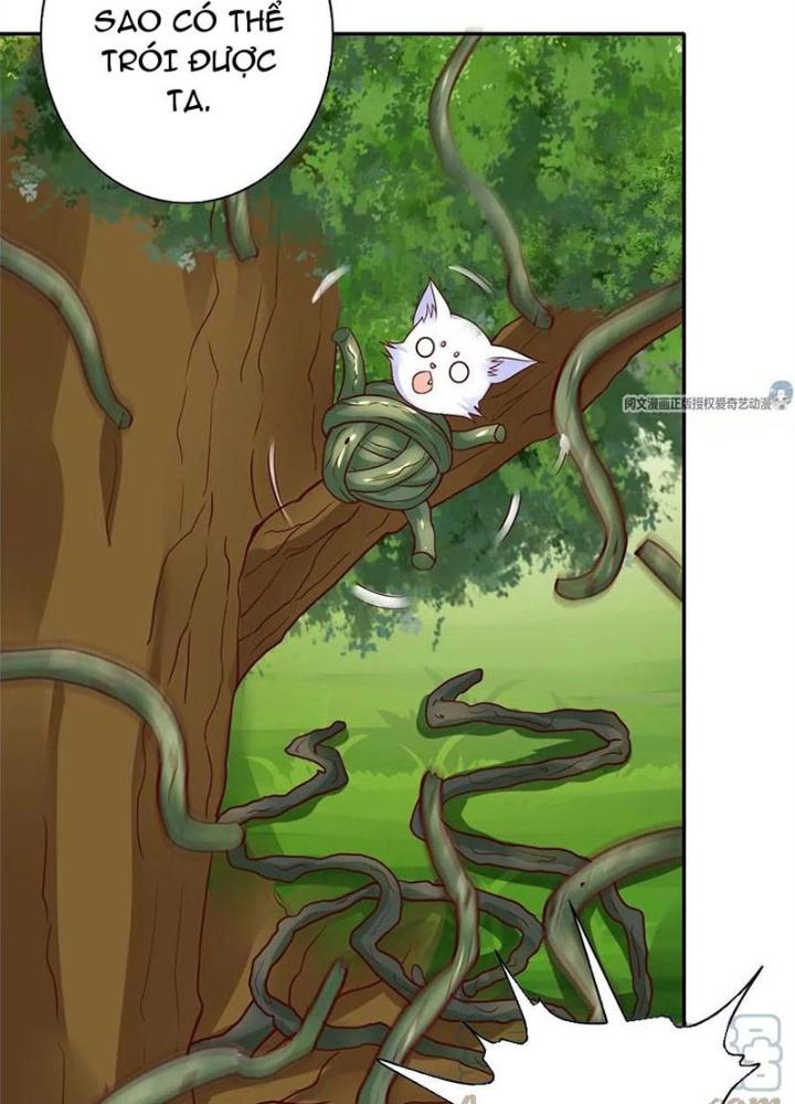 Xin Lỗi, Có Hệ Thống Thật Sự Quá Lợi Hại Chapter 14 - Trang 2