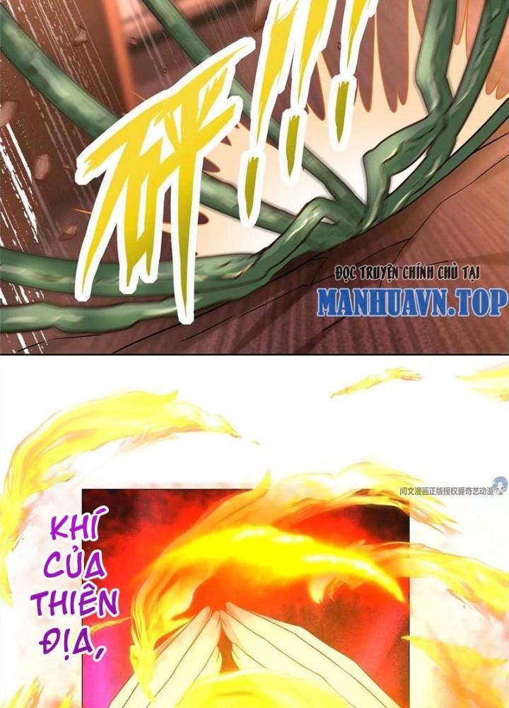 Xin Lỗi, Có Hệ Thống Thật Sự Quá Lợi Hại Chapter 14 - Trang 2