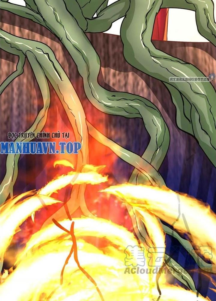 Xin Lỗi, Có Hệ Thống Thật Sự Quá Lợi Hại Chapter 14 - Trang 2