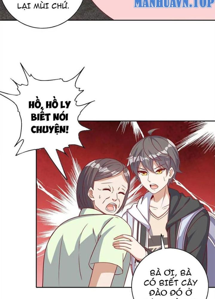 Xin Lỗi, Có Hệ Thống Thật Sự Quá Lợi Hại Chapter 15 - Trang 2