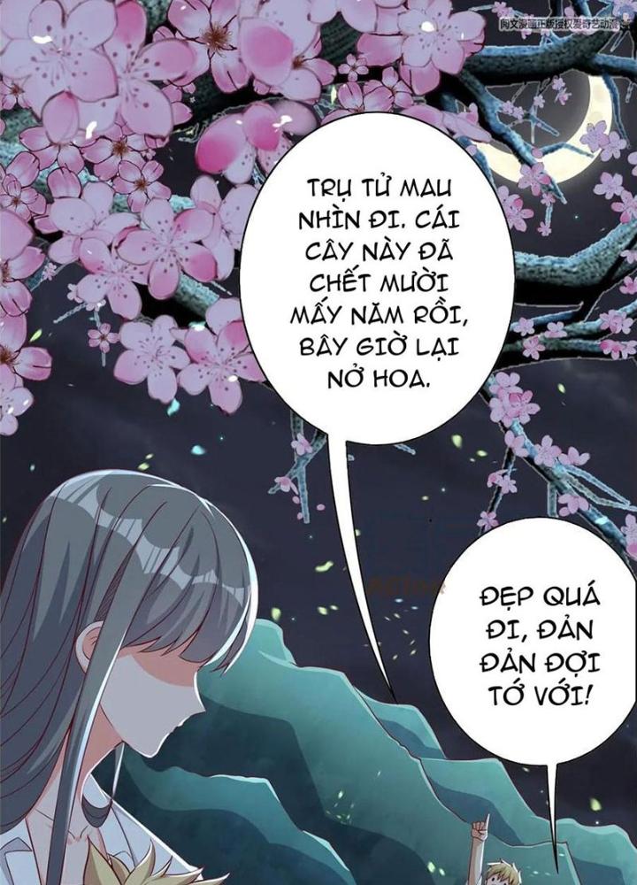 Xin Lỗi, Có Hệ Thống Thật Sự Quá Lợi Hại Chapter 15 - Trang 2