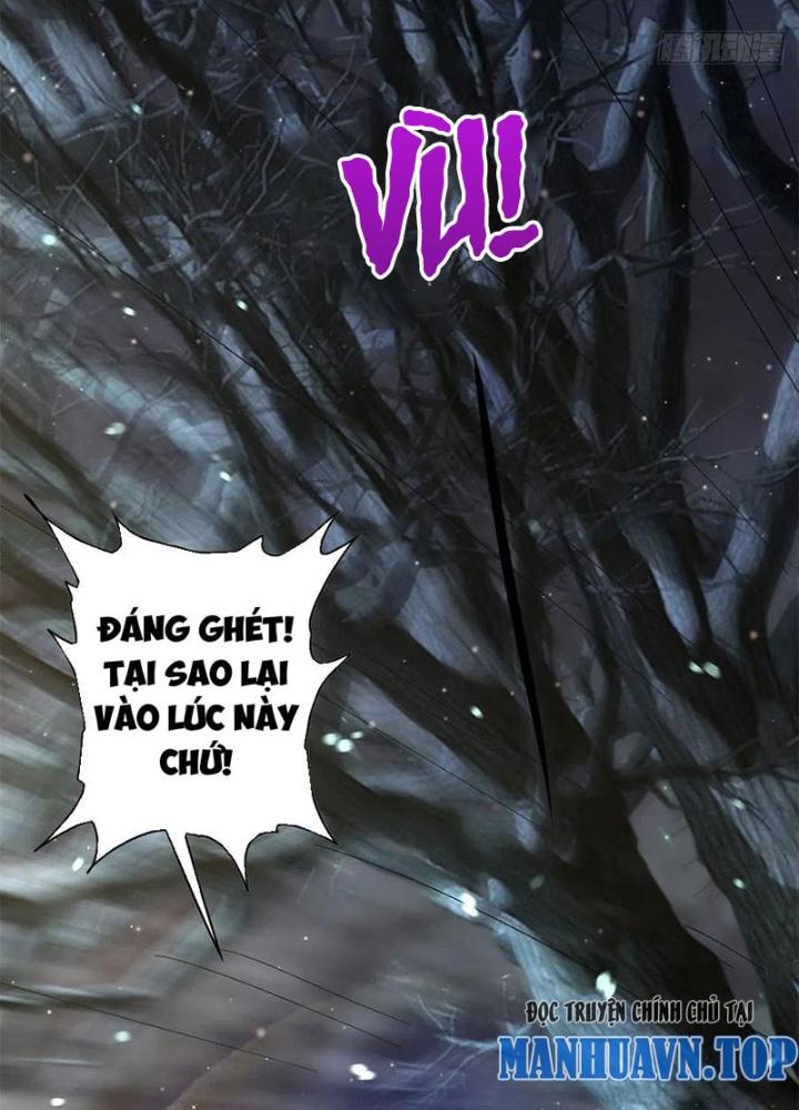 Xin Lỗi, Có Hệ Thống Thật Sự Quá Lợi Hại Chapter 16 - Trang 2