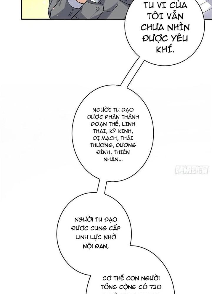 Xin Lỗi, Có Hệ Thống Thật Sự Quá Lợi Hại Chapter 17 - Trang 2