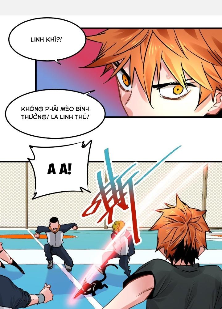 Hệ Thống Thôn Phệ Bá Đạo Chapter 16 - Next Chapter 17