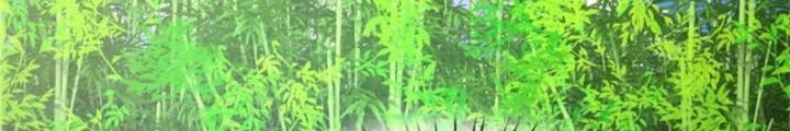 Võ đạo đại đế Chapter 31 - Trang 2