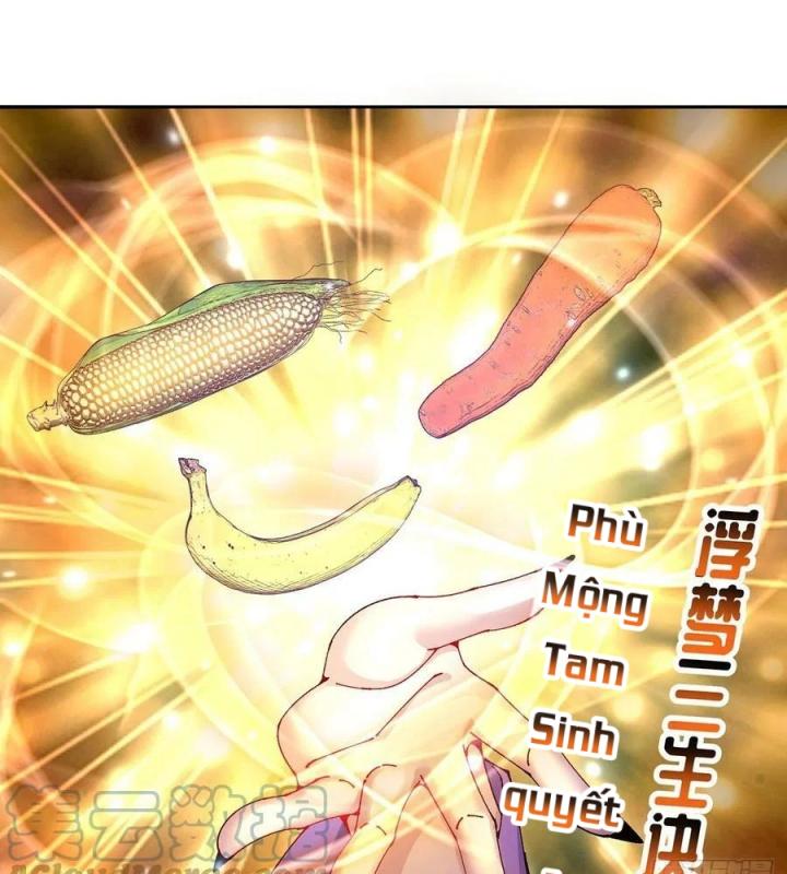 Ta Nhặt Được Thuộc Tính Tại Tu Chân Giới Chapter 268 - Trang 2