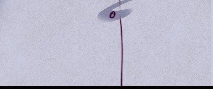 Trường Sinh Đạo Chapter 58 - Trang 2