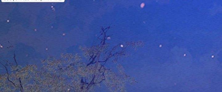 Trường Sinh Đạo Chapter 61 - Trang 2