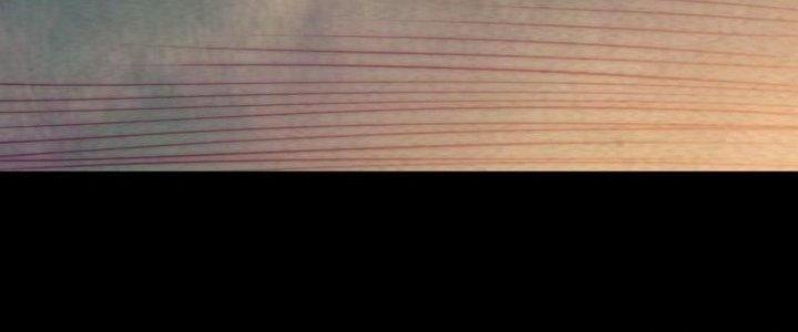 Trường Sinh Đạo Chapter 61 - Trang 2