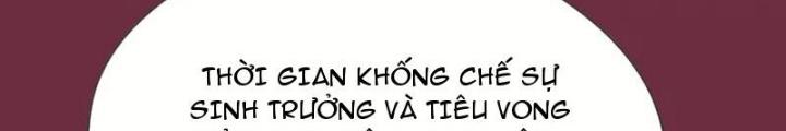 Thời Chi Luân Hồi Chapter 25 - Trang 2