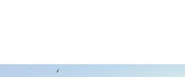 Thức Tỉnh Thành Sứa Nhưng Ta Vẫn Thật Siêu Thần Chapter 56 - Trang 2