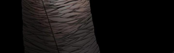 Hắc Dạ Trùng Sinh Chapter 30 - Next Chapter 31