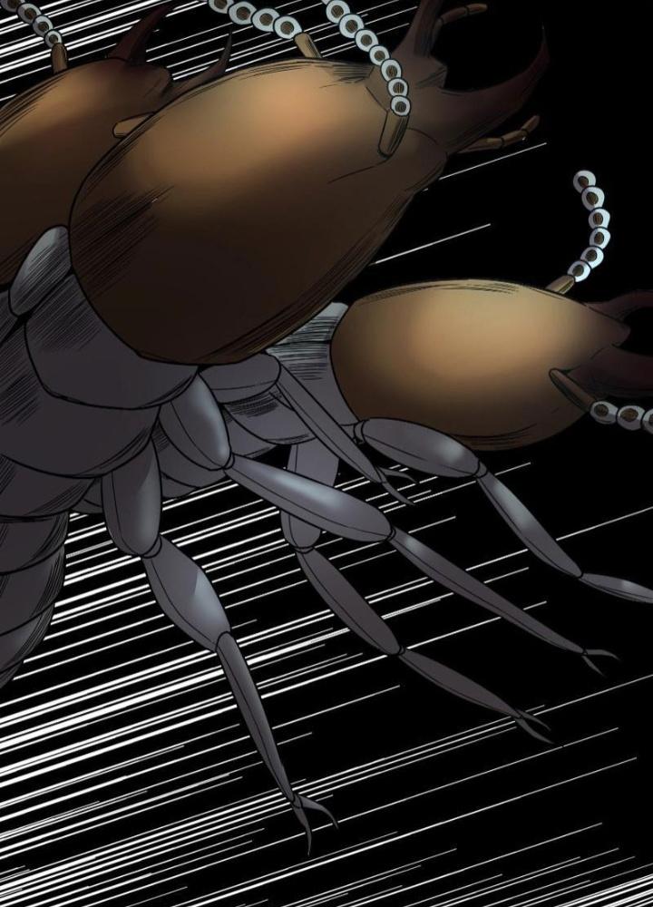 Hắc Dạ Trùng Sinh Chapter 30 - Next Chapter 31