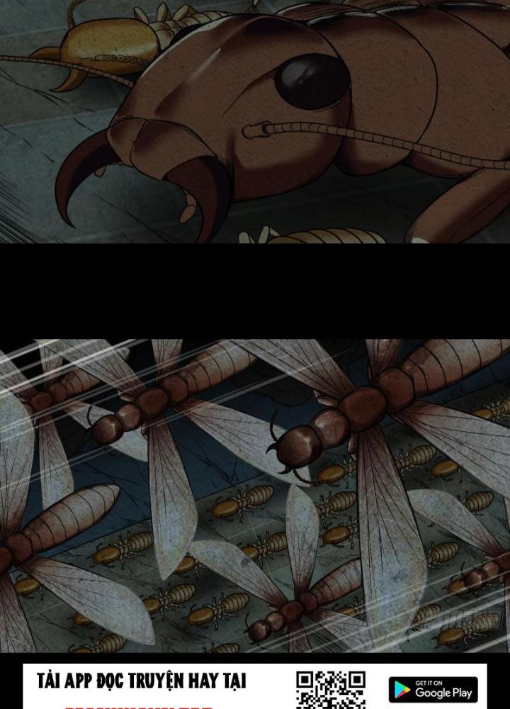 Hắc Dạ Trùng Sinh Chapter 39 - Next Chapter 40