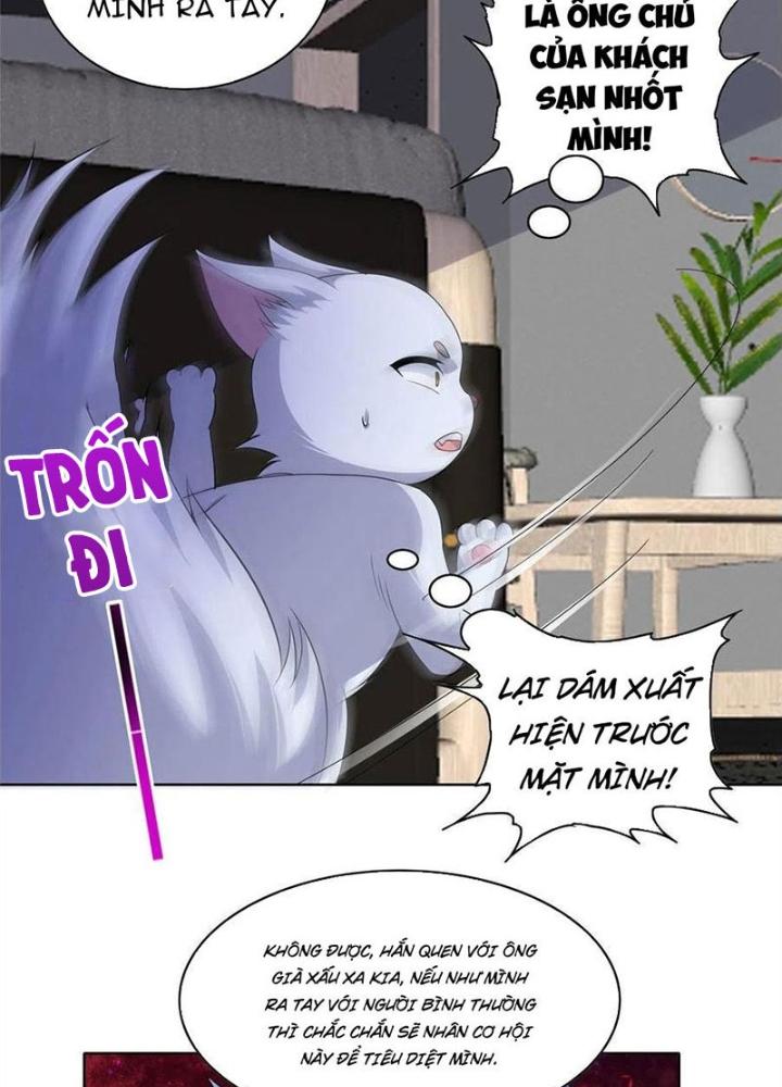 Xin Lỗi, Có Hệ Thống Thật Sự Quá Lợi Hại Chapter 23 - Trang 2