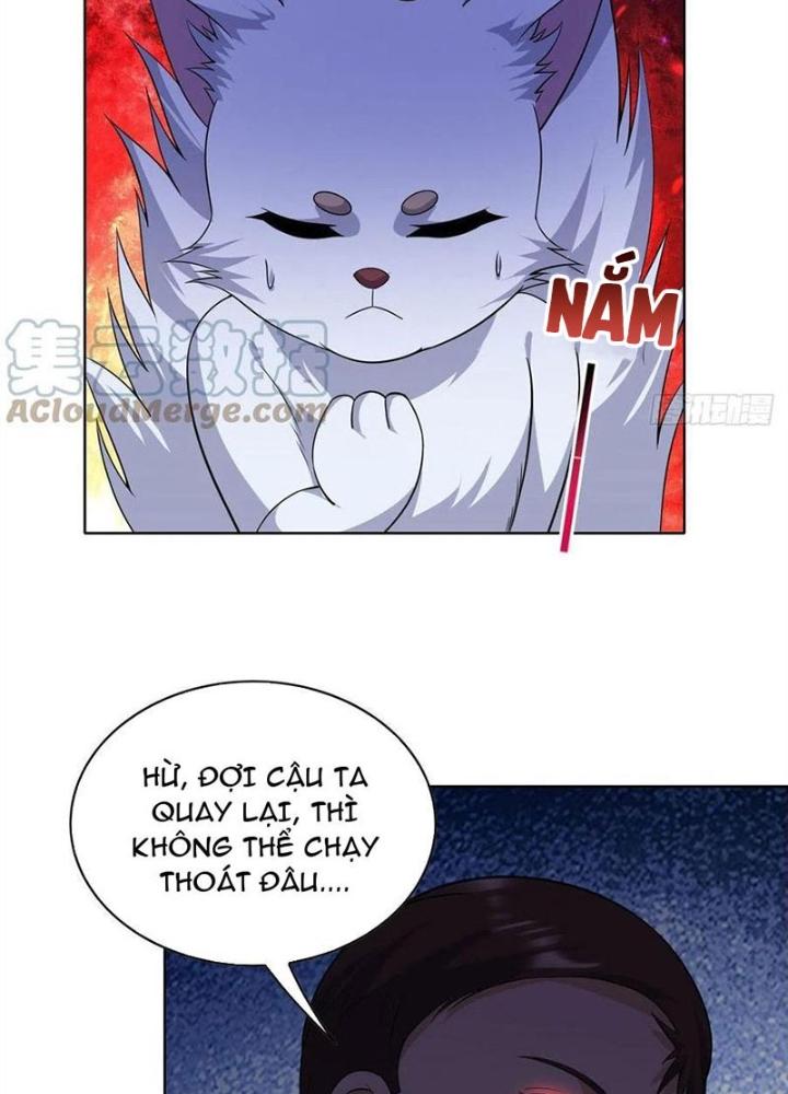 Xin Lỗi, Có Hệ Thống Thật Sự Quá Lợi Hại Chapter 23 - Trang 2