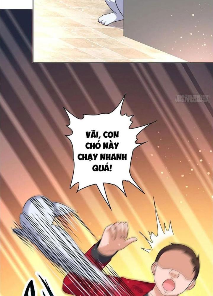 Xin Lỗi, Có Hệ Thống Thật Sự Quá Lợi Hại Chapter 23 - Trang 2