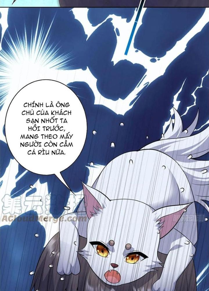 Xin Lỗi, Có Hệ Thống Thật Sự Quá Lợi Hại Chapter 23 - Trang 2