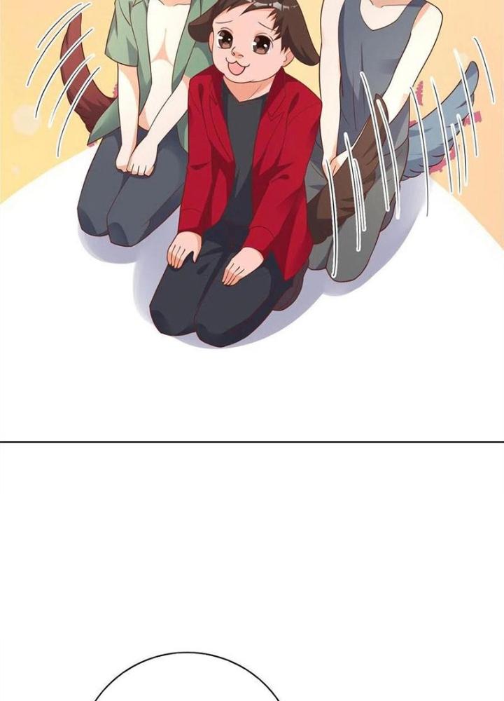 Xin Lỗi, Có Hệ Thống Thật Sự Quá Lợi Hại Chapter 24 - Trang 2