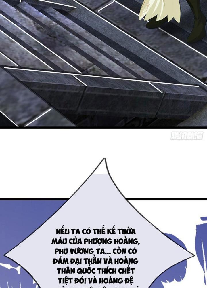 Ta Có Thể Cướp Đoạt Cơ Duyên Chapter 33 - Trang 2