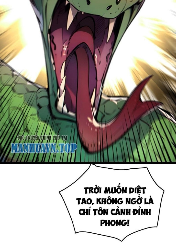 Toàn Dân Chuyển Chức: Tất Cả Kỹ Năng Của Ta Đều Là Cấm Chú Chapter 55 - Trang 2