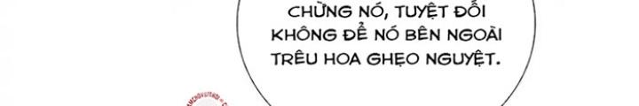 Lão Đại Xuyên Không Thành Tiên Nữ Chapter 276 - Trang 3