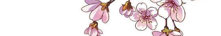 Từ Hôm Nay Bắt Đầu Làm Người Giàu Nhất Chapter 243 - Trang 3