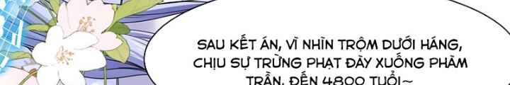 Sư Tỷ Của Ta Đông Đến Một Đám Chapter 210 - Trang 3