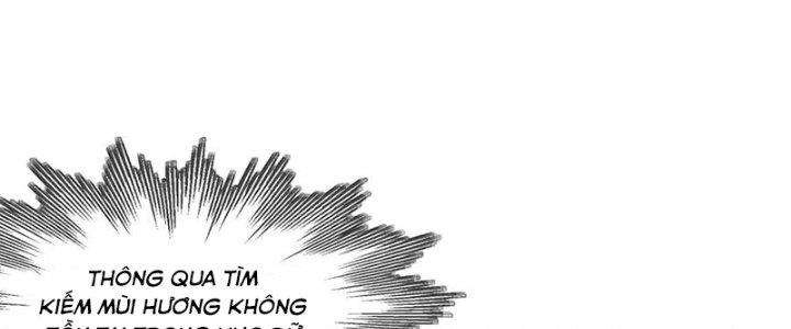 Trải Nghiệm Trở Thành Huyết Tộc Chapter 33 - Trang 3