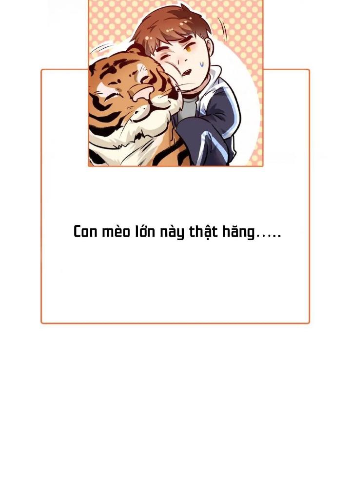 Thành Tựu Của Ta Rất Nhiều Chapter 167 - Trang 3