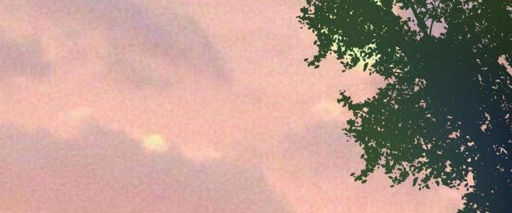 Thành Tựu Của Ta Rất Nhiều Chapter 169 - Trang 3