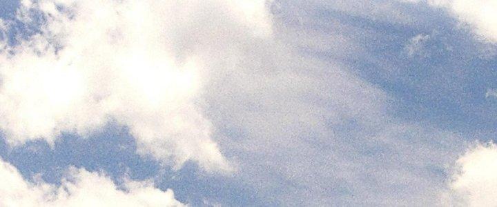 Thành Tựu Của Ta Rất Nhiều Chapter 171 - Trang 3